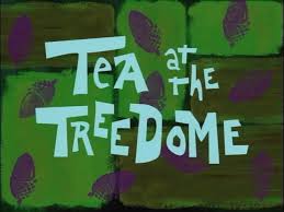 tea-at-the-treedome
